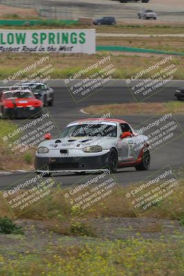 media/May-04-2024-Lucky Dog Racing (Sat) [[d39539b3f3]]/Race Pics/1230pm (Turn 4a)/